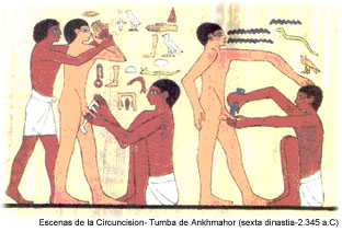 Escenas de la Circuncision- Tumba de Ankhmahor (sexta dinastia-2.345 a.C)